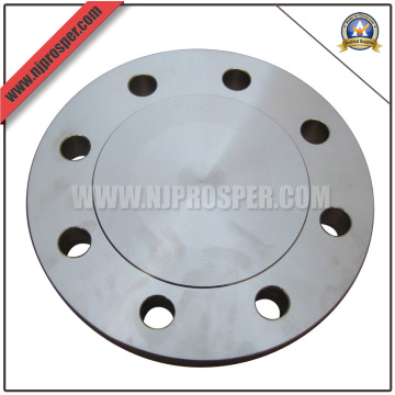 Stainless Steel Blind Flanges (YZF-FZ212)